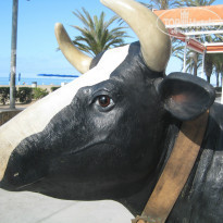 фото из отзыва ID 880271