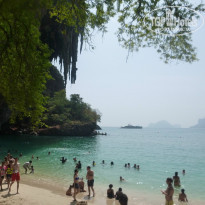 фото из отзыва ID 880346