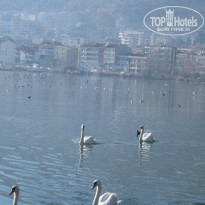 фото из отзыва ID 880536