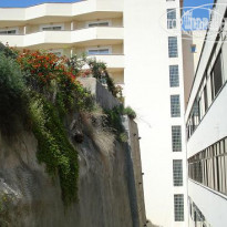 фото из отзыва ID 88143