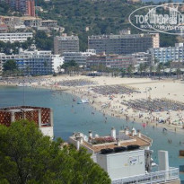 фото из отзыва ID 88143