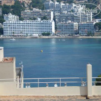 фото из отзыва ID 88143