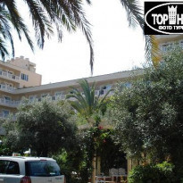 фото из отзыва ID 88143