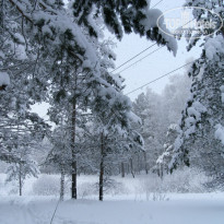 фото из отзыва ID 881038