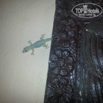 фото из отзыва ID 881061