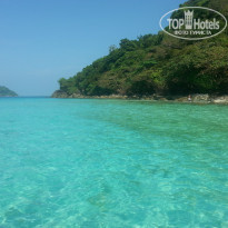 фото из отзыва ID 881061