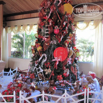 фото из отзыва ID 881199