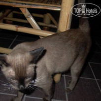 фото из отзыва ID 881252