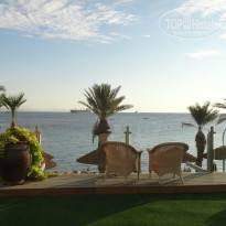 фото из отзыва ID 881298