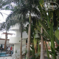 фото из отзыва ID 881298