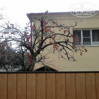 фото из отзыва ID 881310