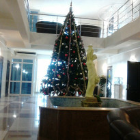 фото из отзыва ID 881310