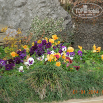 фото из отзыва ID 881310