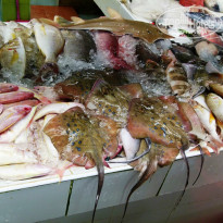 фото из отзыва ID 881335