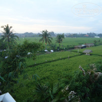 фото из отзыва ID 881405