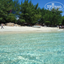 фото из отзыва ID 881405