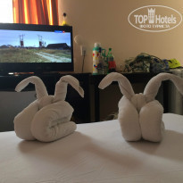 фото из отзыва ID 881438