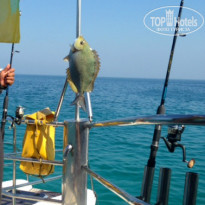 фото из отзыва ID 881453