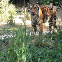 фото из отзыва ID 881453