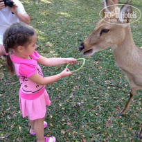 фото из отзыва ID 881453