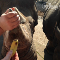 фото из отзыва ID 881453