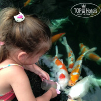 фото из отзыва ID 881453