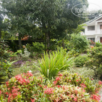 фото из отзыва ID 881523