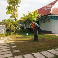 фото из отзыва ID 881557