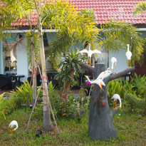 фото из отзыва ID 881557