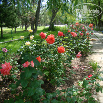 фото из отзыва ID 881627