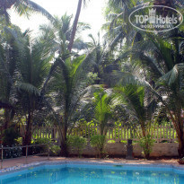 фото из отзыва ID 881718