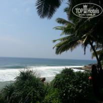 фото из отзыва ID 881780