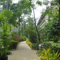 фото из отзыва ID 881825