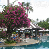 фото из отзыва ID 881825