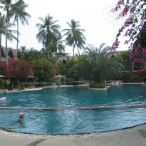 фото из отзыва ID 881825