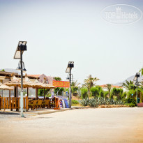 фото из отзыва ID 881880