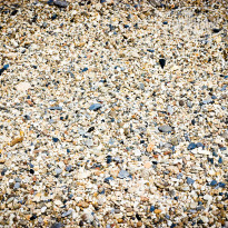 фото из отзыва ID 881880