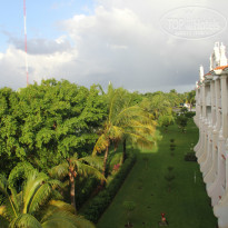 фото из отзыва ID 881884