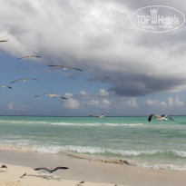 фото из отзыва ID 881884