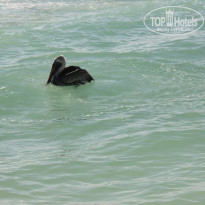 фото из отзыва ID 881884