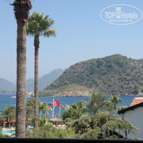 фото из отзыва ID 881468