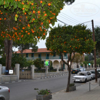 фото из отзыва ID 881541