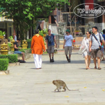 фото из отзыва ID 881335