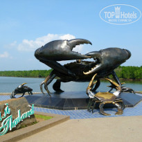 фото из отзыва ID 881335