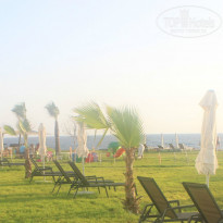 фото из отзыва ID 881521