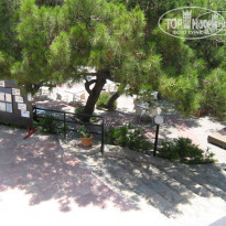 фото из отзыва ID 88251