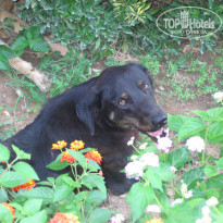 фото из отзыва ID 88251