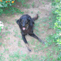 фото из отзыва ID 88251