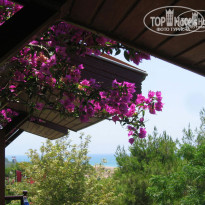 фото из отзыва ID 88251