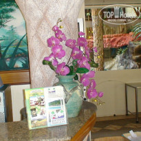 фото из отзыва ID 882089